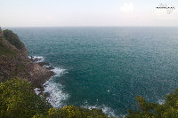 IMG_7101.jpg