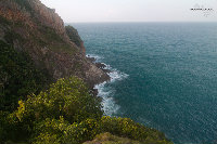 IMG_7102.jpg