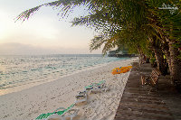 IMG_7163.jpg