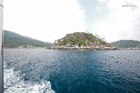 IMG_5401.jpg