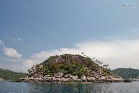 IMG_5430.jpg