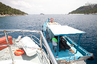 IMG_5436.jpg