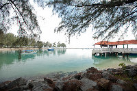 IMG_5672.jpg
