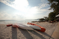 IMG_5684.jpg