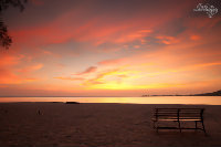 IMG_5697.jpg