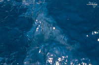 IMG_9415.jpg