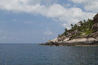 IMG_9419.jpg