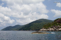 IMG_9421.jpg