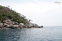 IMG_9434.jpg