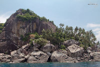 IMG_9436.jpg