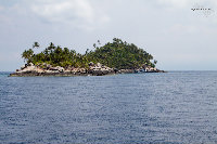 IMG_9440.jpg