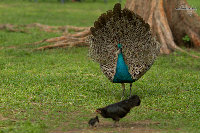 IMG_9623.jpg