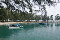 IMG_9635.jpg