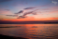 IMG_9911.jpg