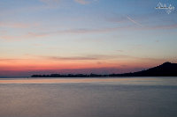IMG_9917.jpg