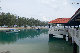 IMG_9633.jpg