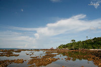 _MG_4124.jpg