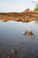 _MG_4205.jpg