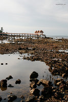 _MG_4207.jpg
