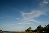 _MG_4239.jpg