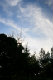 _MG_4146.jpg