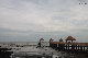 balau01.jpg