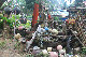 balau05.jpg