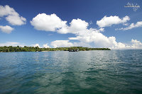 IMG_6056.jpg