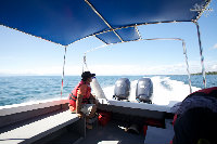 IMG_6060.jpg