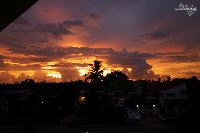 IMG_6167.jpg
