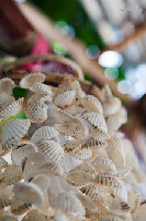 Tioman-IMG_3993.jpg