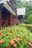 Tioman-IMG_4004.jpg