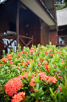 Tioman-IMG_4006.jpg