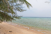 Tioman-IMG_4013.jpg
