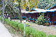 Tioman-IMG_4041.jpg