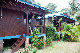 Tioman-IMG_4048.jpg