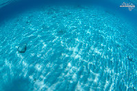 Tioman-IMG_1598.jpg
