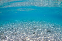 Tioman-IMG_1599.jpg