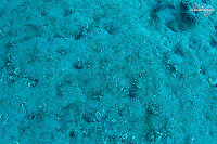 Tioman-IMG_1603.jpg