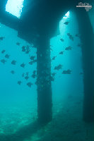 Tioman-IMG_1637.jpg