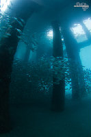 Tioman-IMG_1685.jpg