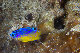 Tioman-IMG_1414.jpg
