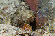 Tioman-IMG_1504.jpg