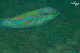 Tioman-IMG_1512.jpg