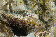 Tioman-IMG_1535.jpg