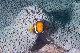 Tioman-IMG_1539.jpg