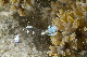 Tioman-IMG_1549.jpg