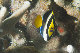 Tioman-IMG_1557.jpg