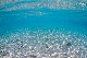 Tioman-IMG_1599.jpg