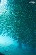 Tioman-IMG_1616.jpg